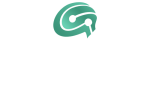 Genieer Global - Logotipo pie